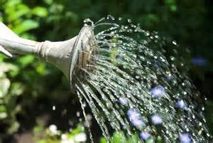 Waterwise Gardening and Watering Systems